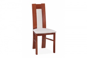 Jídelní židle  40